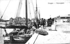 Skagen havn (8)